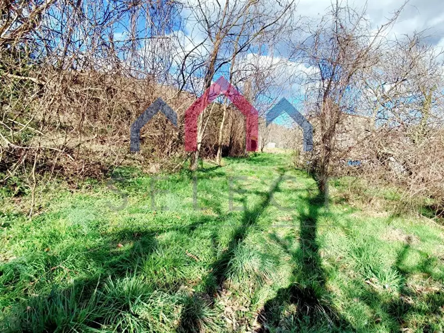 Immagine 34 di Terratetto in vendita  a Borgo A Mozzano