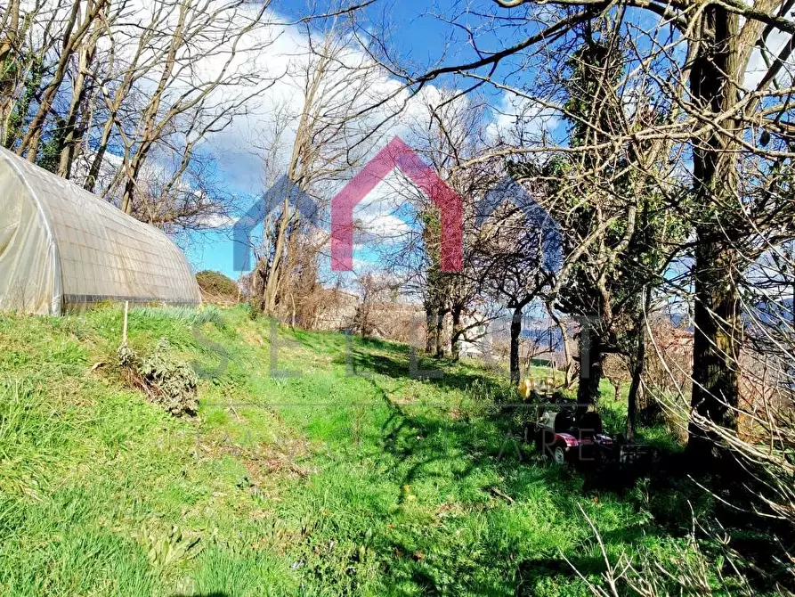 Immagine 35 di Terratetto in vendita  a Borgo A Mozzano
