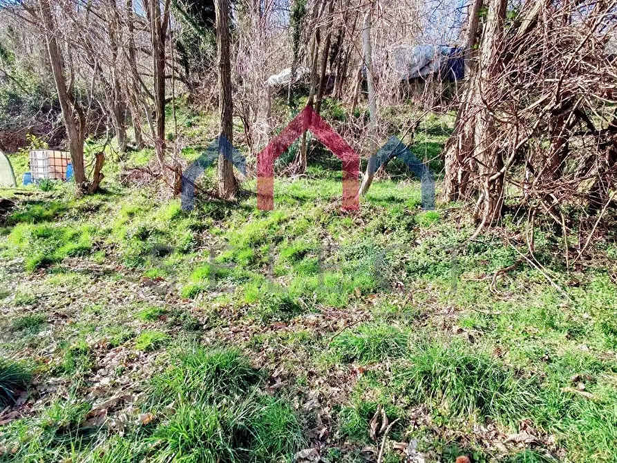 Immagine 33 di Terratetto in vendita  a Borgo A Mozzano