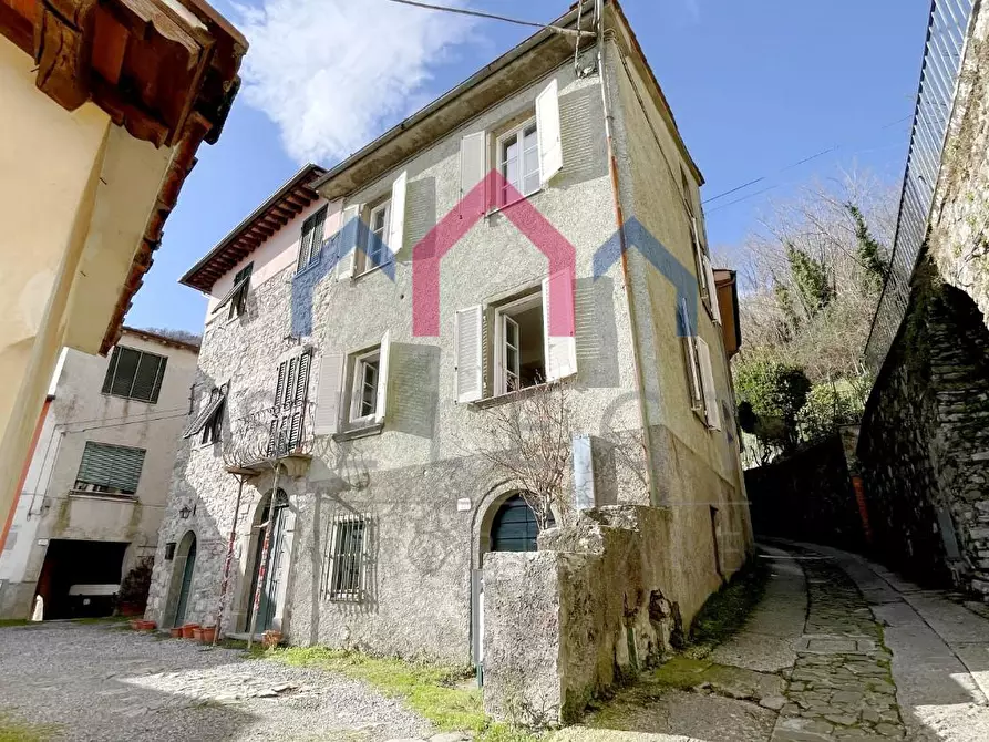Immagine 1 di Terratetto in vendita  a Borgo A Mozzano