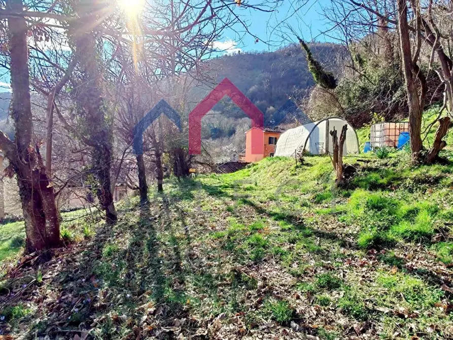 Immagine 37 di Terratetto in vendita  a Borgo A Mozzano