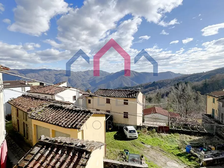 Immagine 22 di Terratetto in vendita  a Borgo A Mozzano