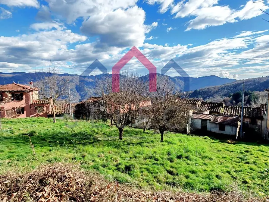 Immagine 36 di Terratetto in vendita  a Borgo A Mozzano