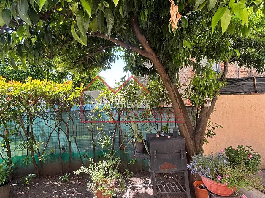 Immagine 3 di Terratetto in vendita  a Camaiore