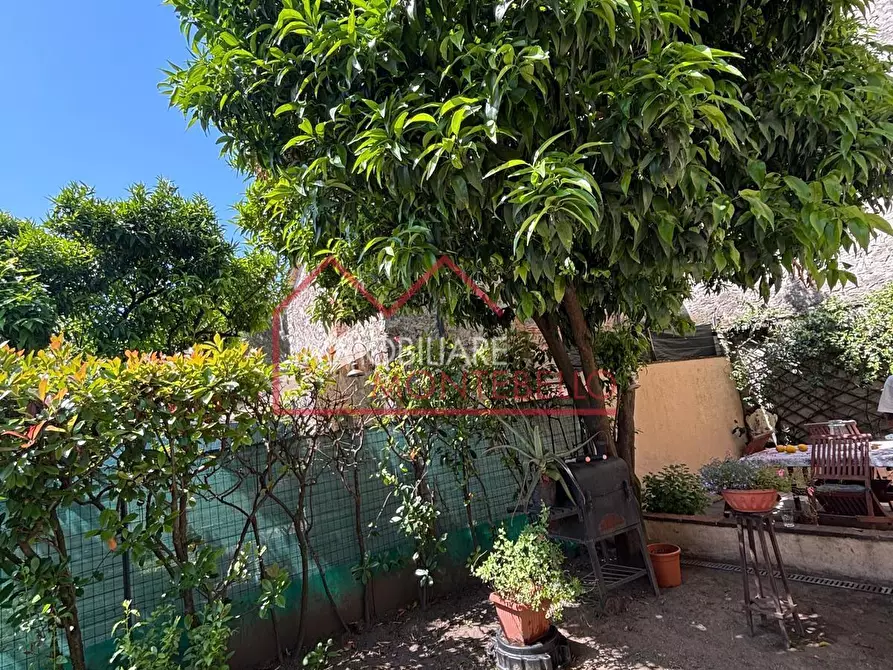 Immagine 5 di Terratetto in vendita  a Camaiore