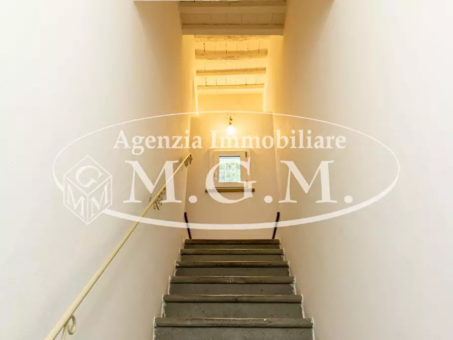 Immagine 19 di Rustico / casale in vendita  a Santa Maria A Monte