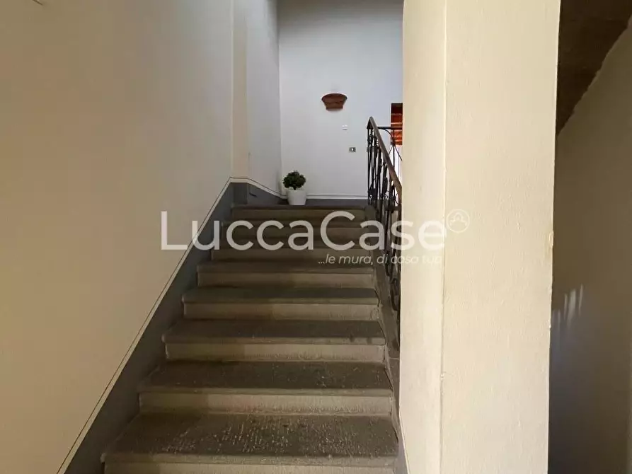 Immagine 14 di Appartamento in affitto  a Lucca