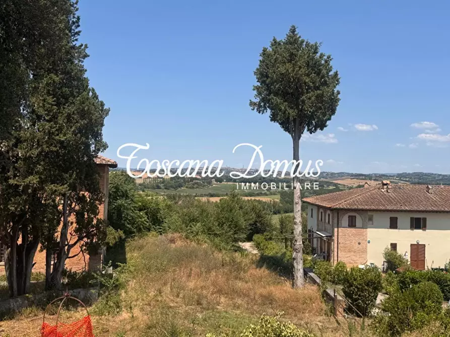 Immagine 5 di Terratetto in vendita  a Asciano