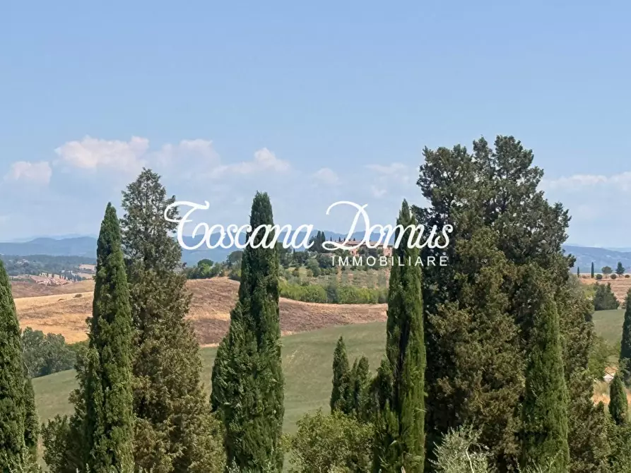 Immagine 6 di Terratetto in vendita  a Asciano