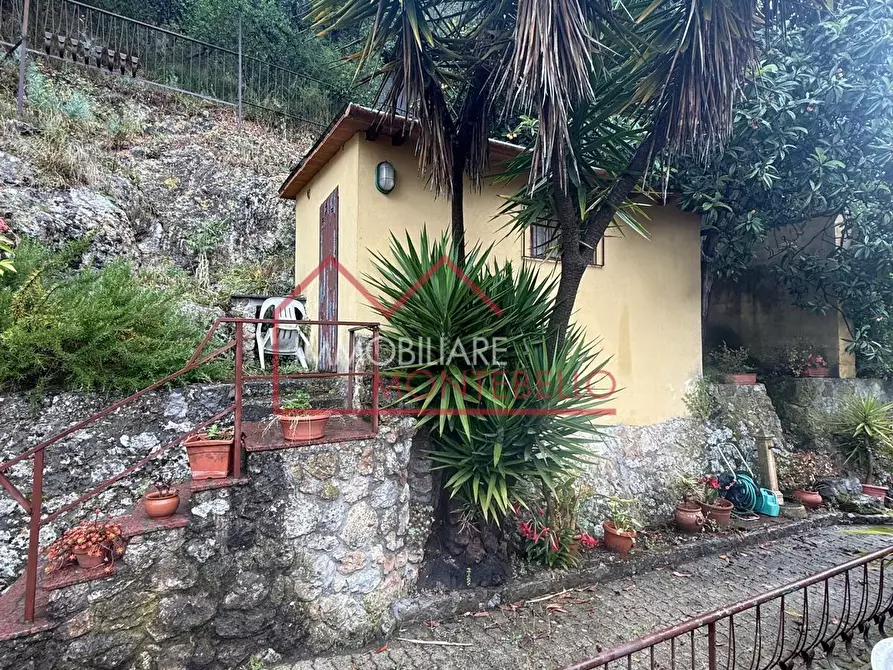 Immagine 4 di Appartamento in vendita  a Camaiore