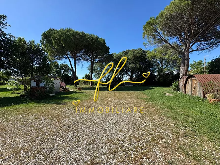 Immagine 32 di Terratetto in vendita  a Collesalvetti