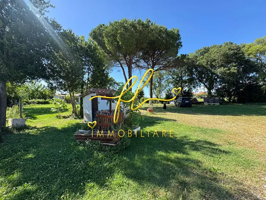 Immagine 28 di Terratetto in vendita  a Collesalvetti