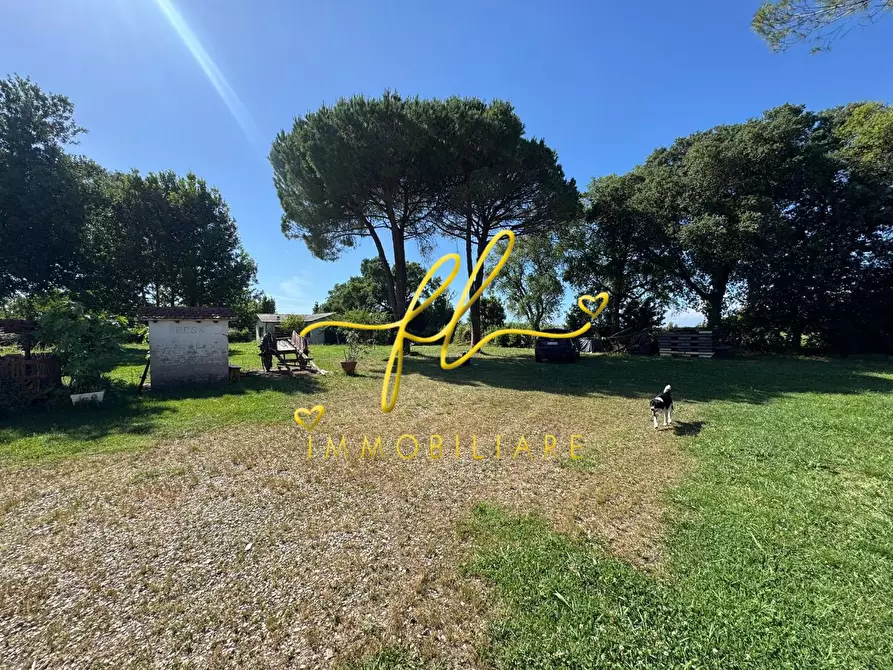 Immagine 31 di Terratetto in vendita  a Collesalvetti