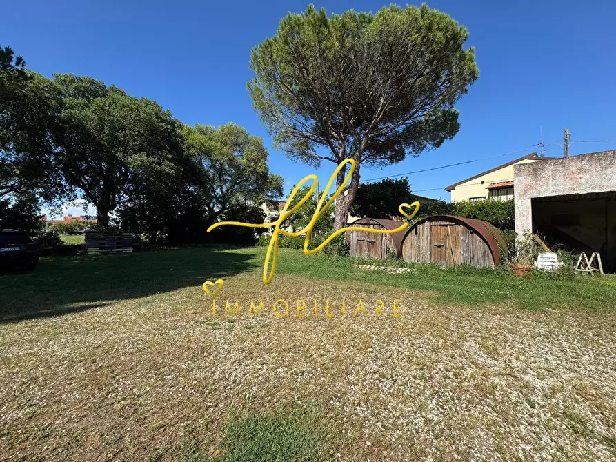 Immagine 29 di Terratetto in vendita  a Collesalvetti