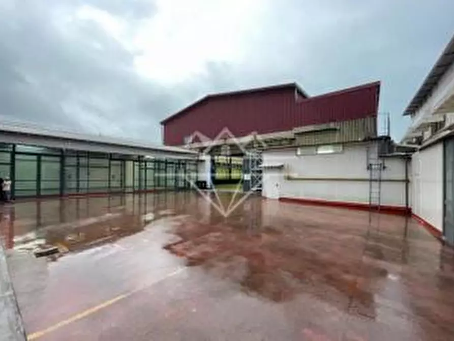 Immagine 5 di Capannone industriale in vendita  a Carrara