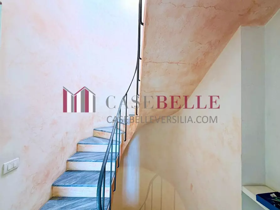 Immagine 23 di Casa colonica in affitto  a Pietrasanta