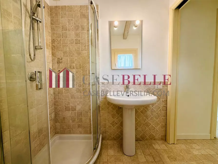 Immagine 50 di Casa colonica in affitto  a Pietrasanta