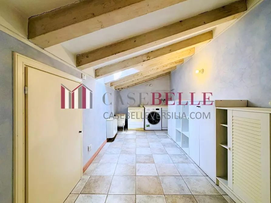 Immagine 36 di Casa colonica in affitto  a Pietrasanta