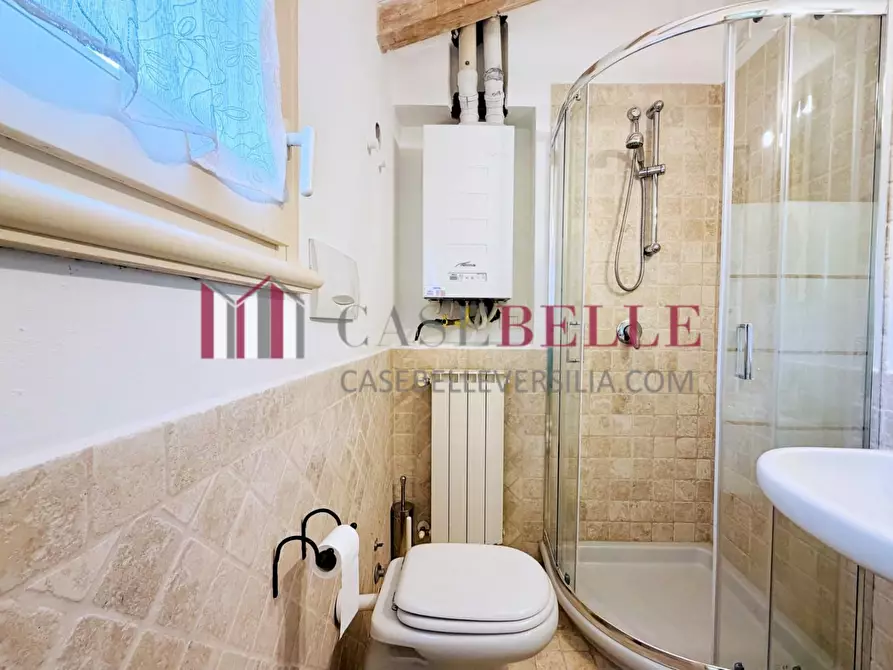 Immagine 49 di Casa colonica in affitto  a Pietrasanta