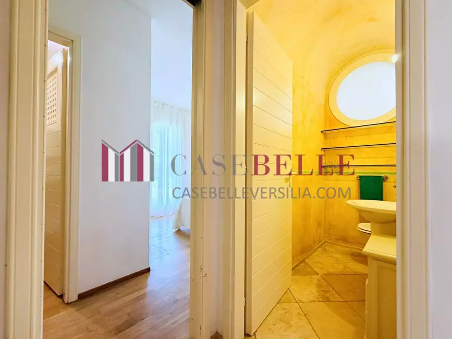 Immagine 16 di Casa colonica in affitto  a Pietrasanta