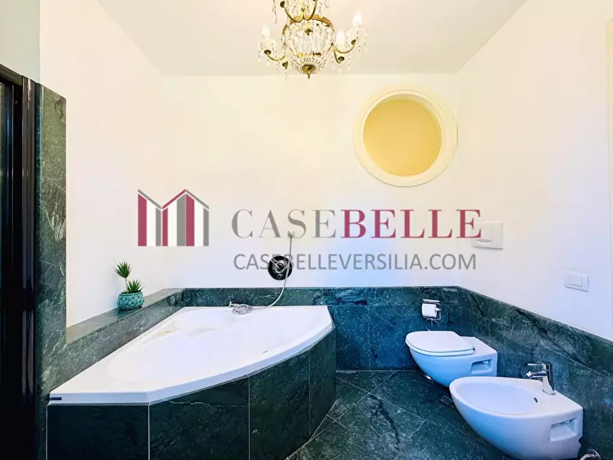 Immagine 20 di Casa colonica in affitto  a Pietrasanta