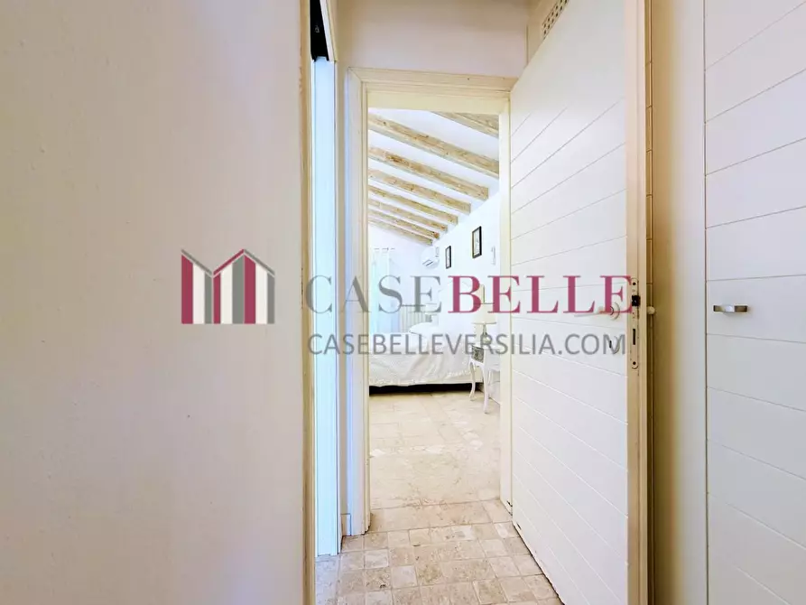 Immagine 51 di Casa colonica in affitto  a Pietrasanta
