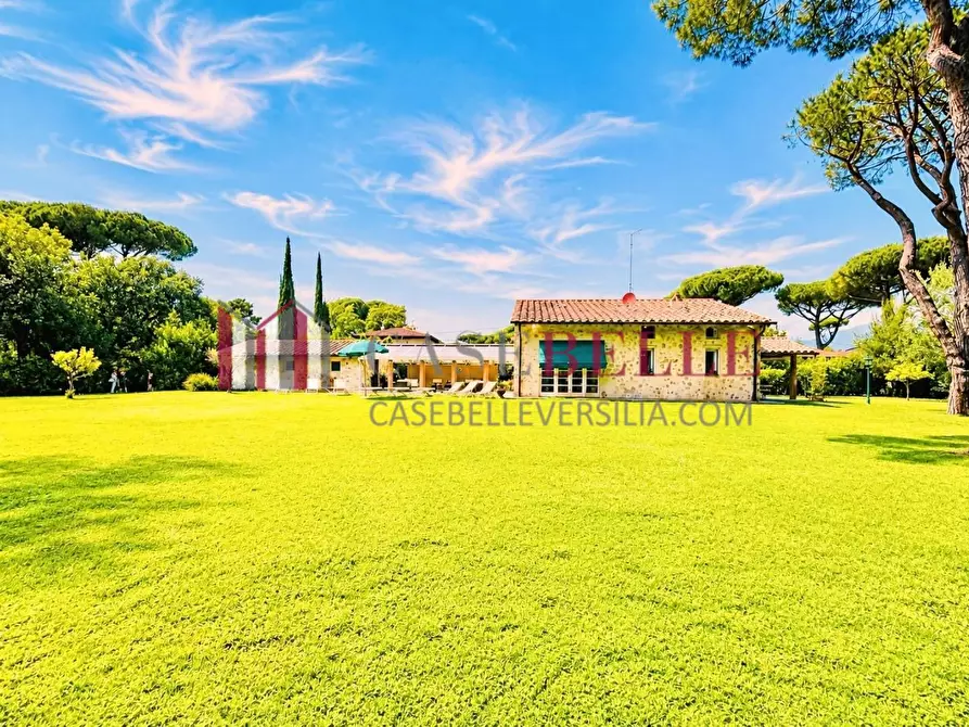 Immagine 59 di Casa colonica in affitto  a Pietrasanta