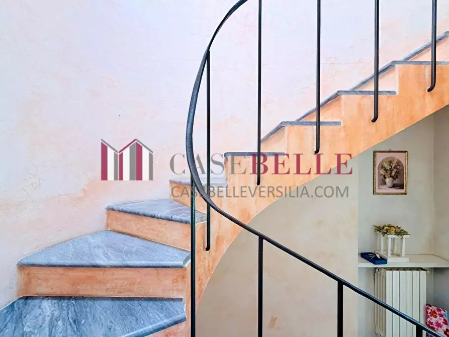 Immagine 24 di Casa colonica in affitto  a Pietrasanta