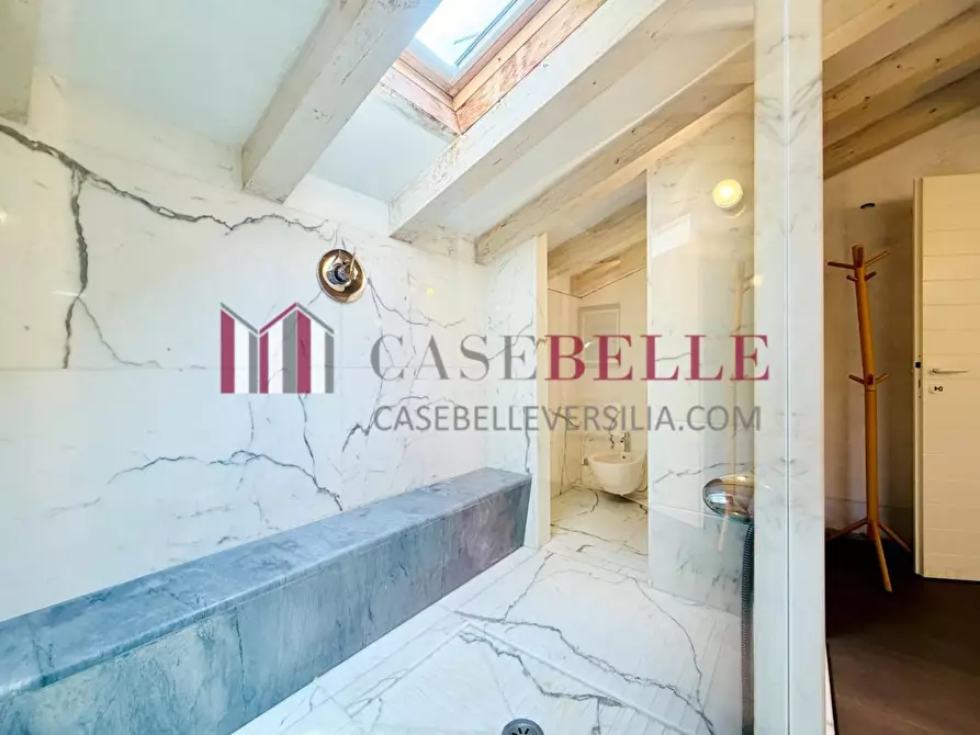 Immagine 29 di Casa colonica in affitto  a Pietrasanta
