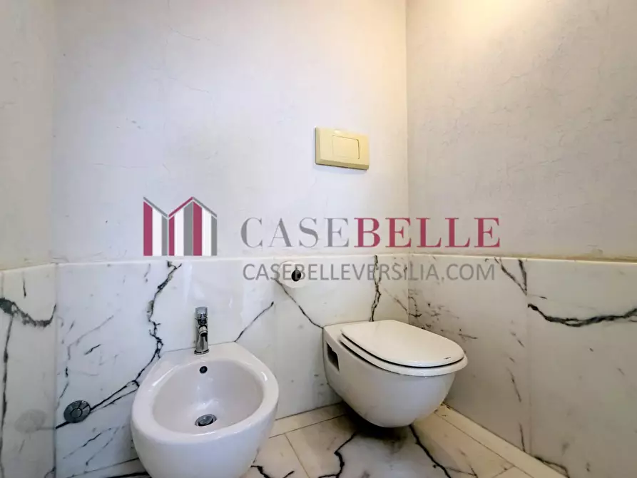 Immagine 31 di Casa colonica in affitto  a Pietrasanta