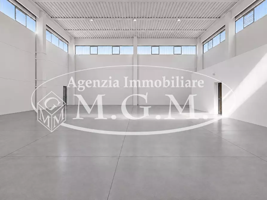 Immagine 9 di Attività artigianale in affitto  a Santa Maria A Monte