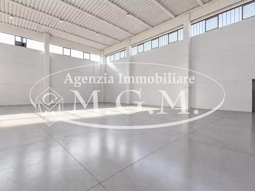 Immagine 5 di Attività artigianale in affitto  a Santa Maria A Monte