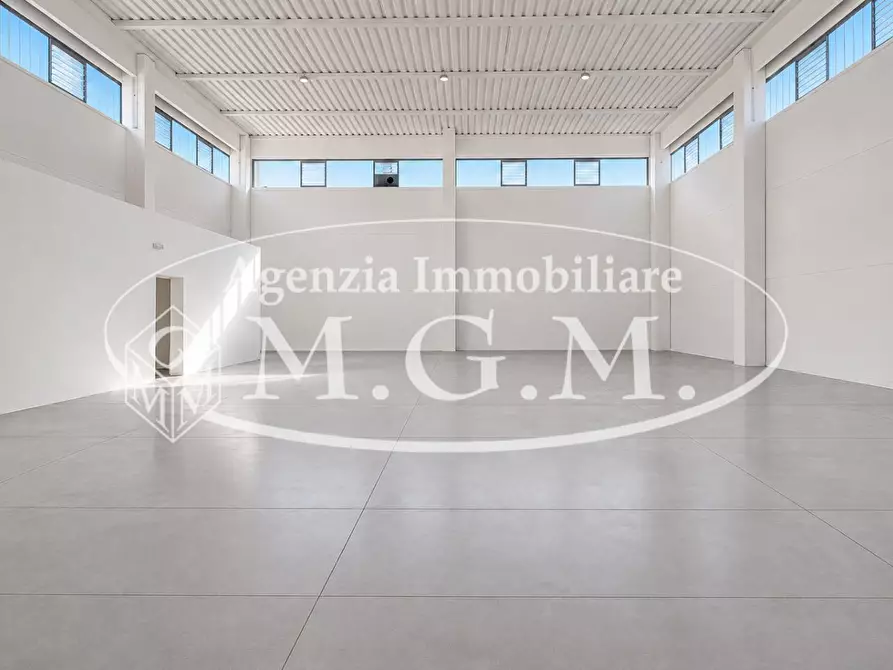 Immagine 8 di Attività artigianale in affitto  a Santa Maria A Monte