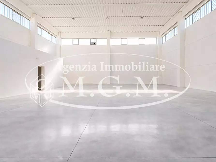 Immagine 6 di Attività artigianale in affitto  a Santa Maria A Monte
