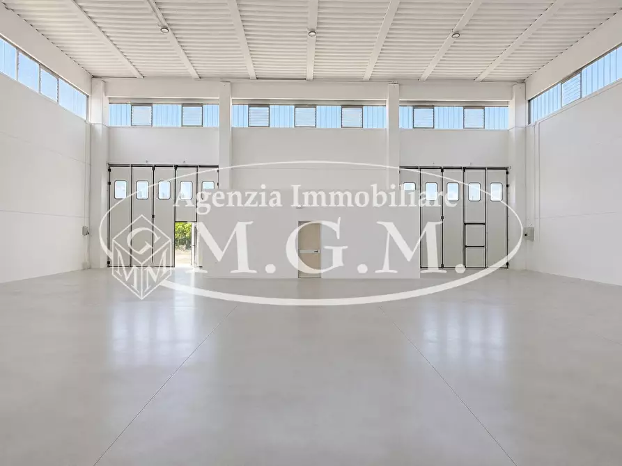 Immagine 7 di Attività artigianale in affitto  a Santa Maria A Monte