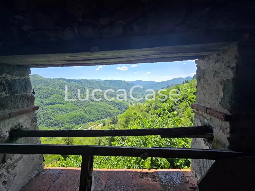 Immagine 16 di Villa in vendita  a Coreglia Antelminelli