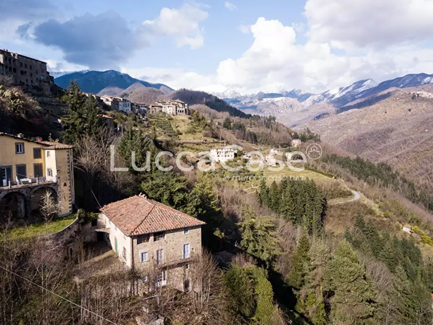 Immagine 24 di Villa in vendita  a Coreglia Antelminelli