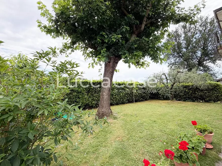 Immagine 24 di Villa in vendita  a Capannori