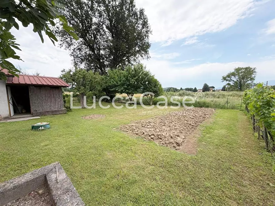 Immagine 44 di Villa in vendita  a Capannori