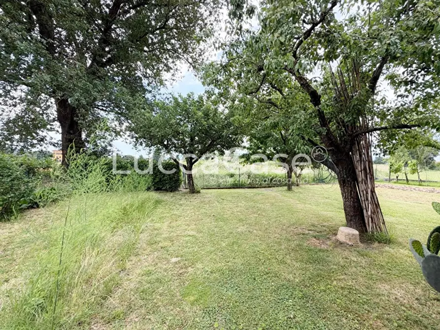 Immagine 42 di Villa in vendita  a Capannori