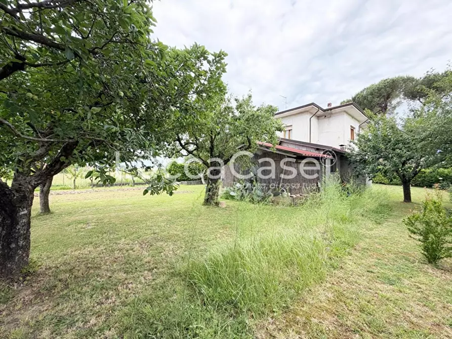 Immagine 41 di Villa in vendita  a Capannori