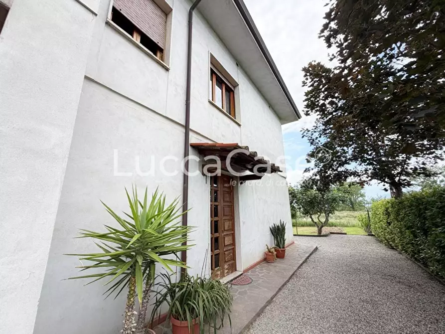 Immagine 27 di Villa in vendita  a Capannori