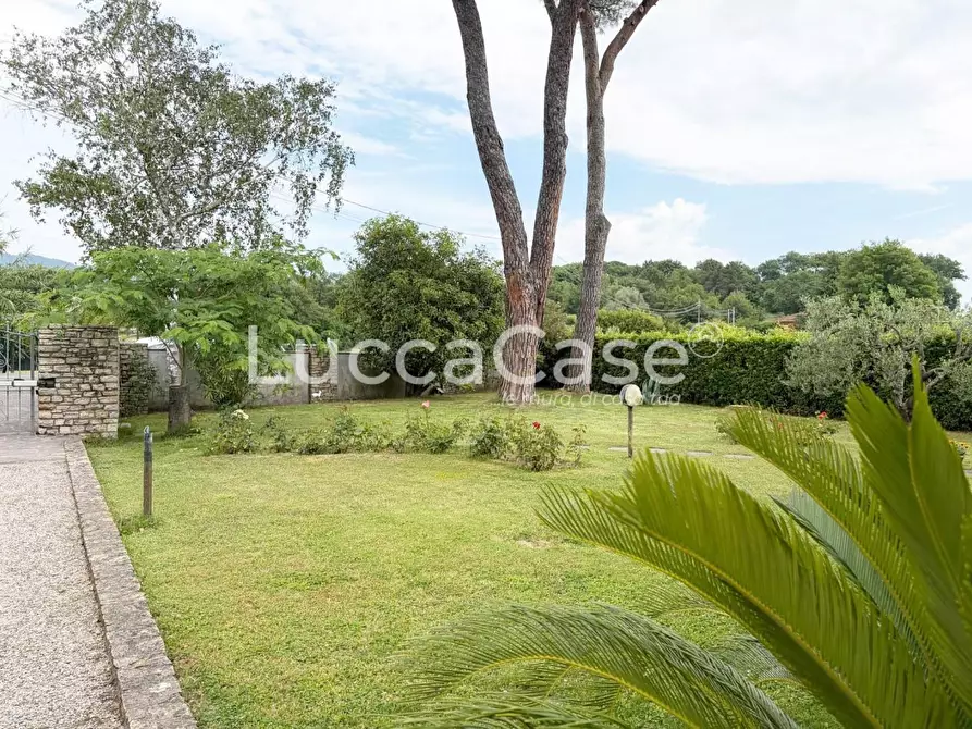 Immagine 23 di Villa in vendita  a Capannori