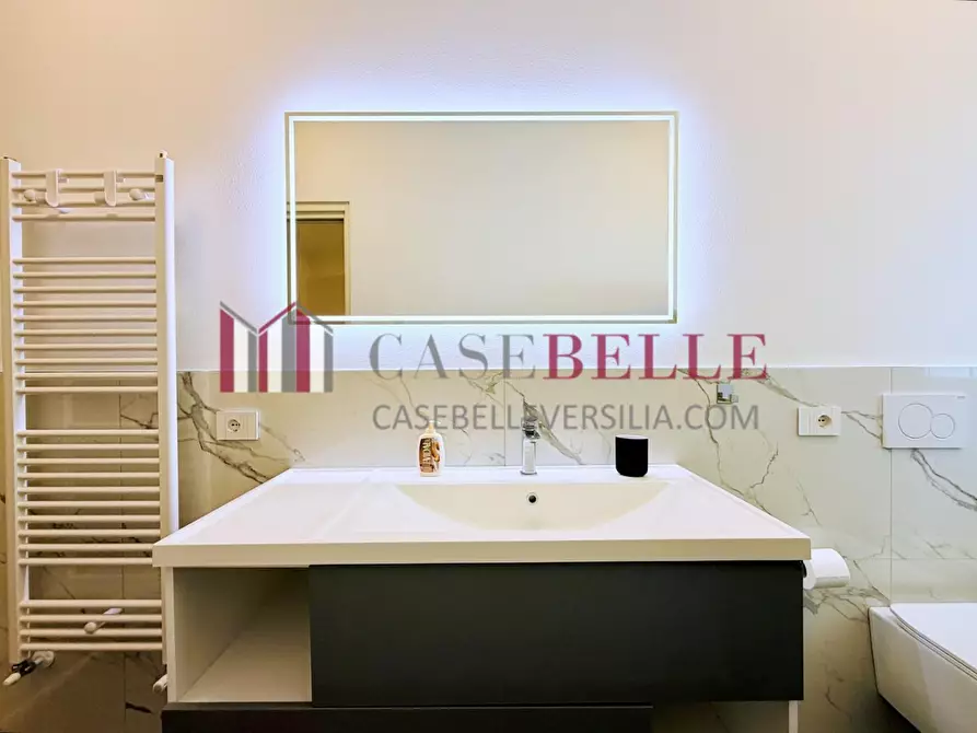 Immagine 38 di Villa in vendita  a Pietrasanta