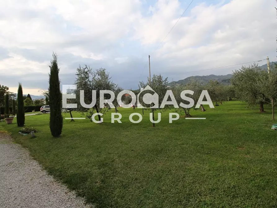 Immagine 25 di Villa in vendita  a Capannori