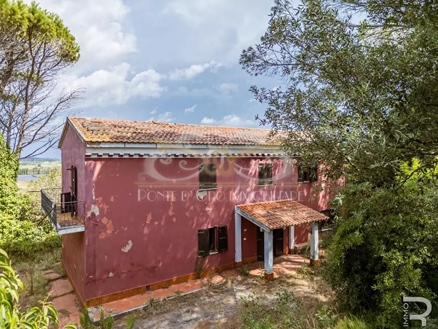 Immagine 1 di Casa indipendente in vendita  a Fauglia