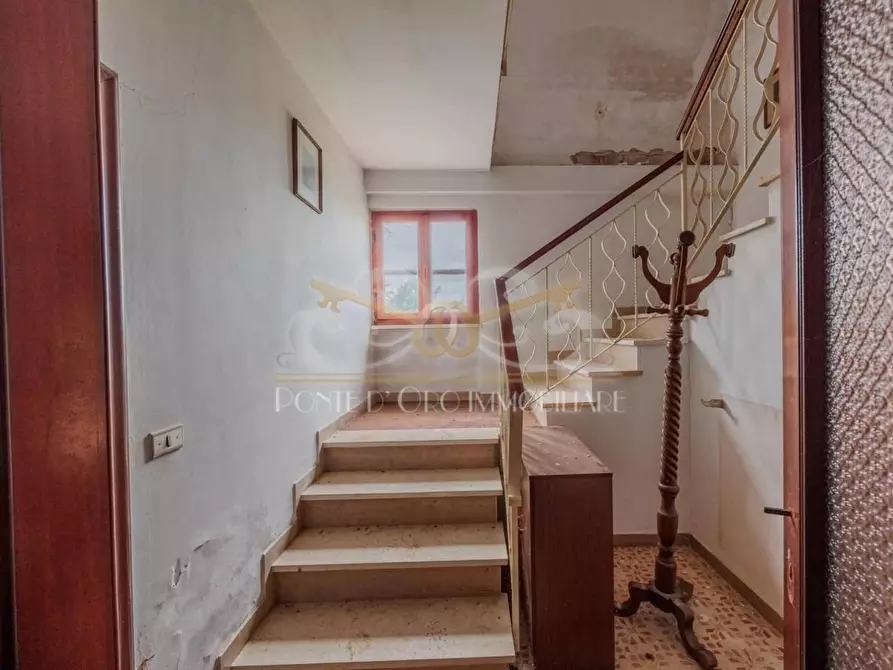 Immagine 13 di Casa indipendente in vendita  a Fauglia