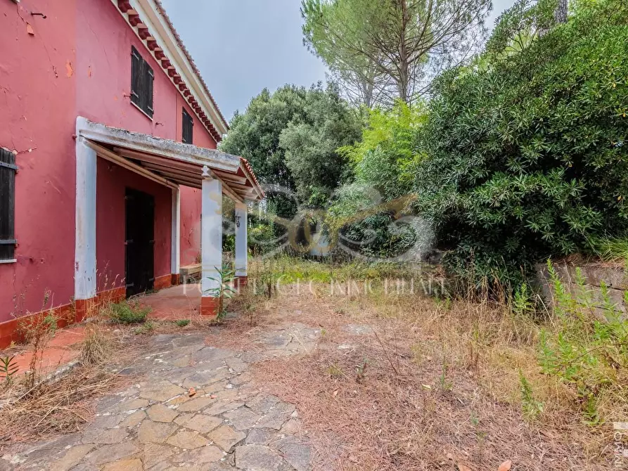 Immagine 5 di Casa indipendente in vendita  a Fauglia