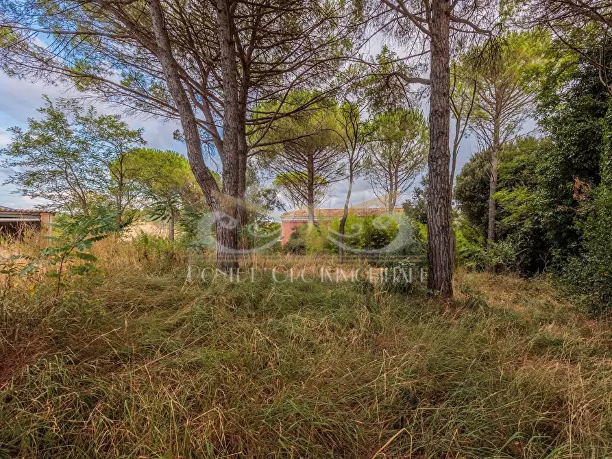 Immagine 18 di Casa indipendente in vendita  a Fauglia