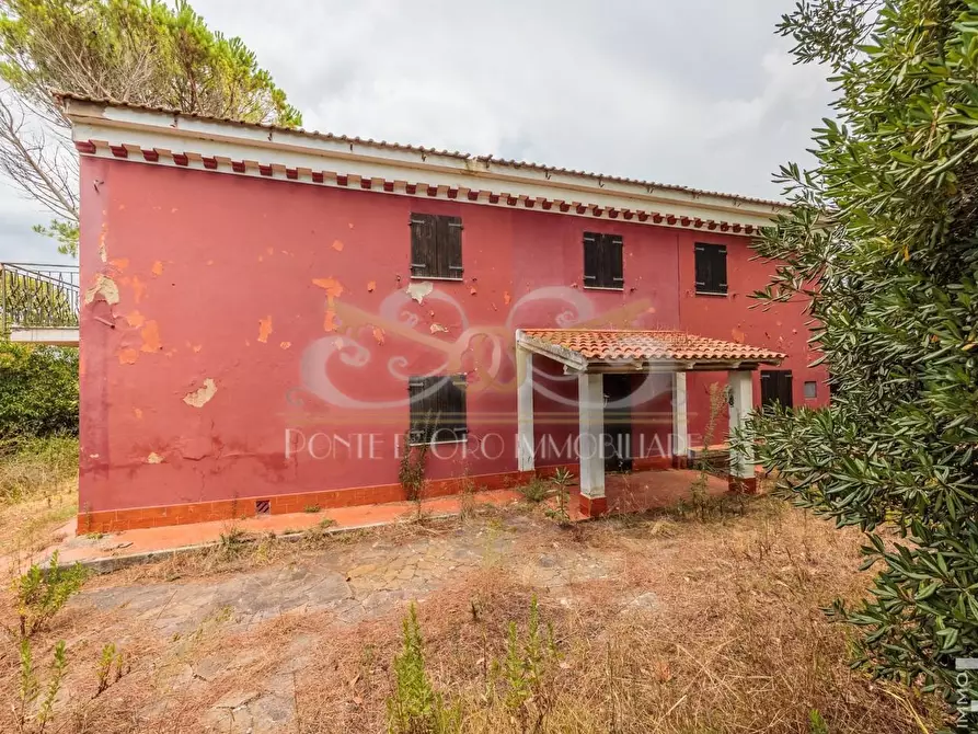 Immagine 4 di Casa indipendente in vendita  a Fauglia